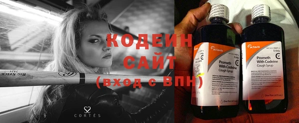 тгк Абаза