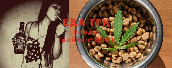 тгк Абаза