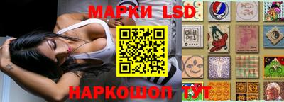 эйфоретик Донской