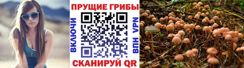 как найти закладки  ссылка на мегу ONION  Галлюциногенные грибы Magic Shrooms  Екатеринбург 