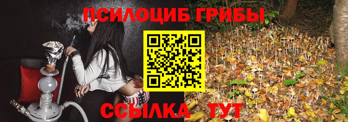 Псилоцибиновые грибы ЛСД Екатеринбург